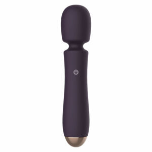 Raytech - Rechargeable, Waterproof Massage Vibrator (Purple)